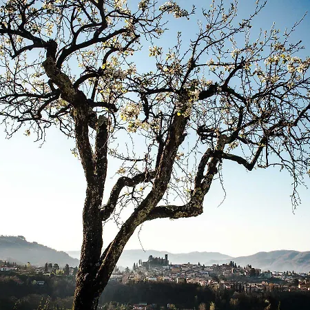 Il Ciocco